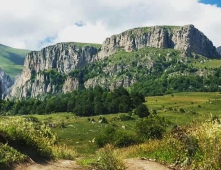 WhatsApp Image 2025-12-06 at 01.09.22 (1)